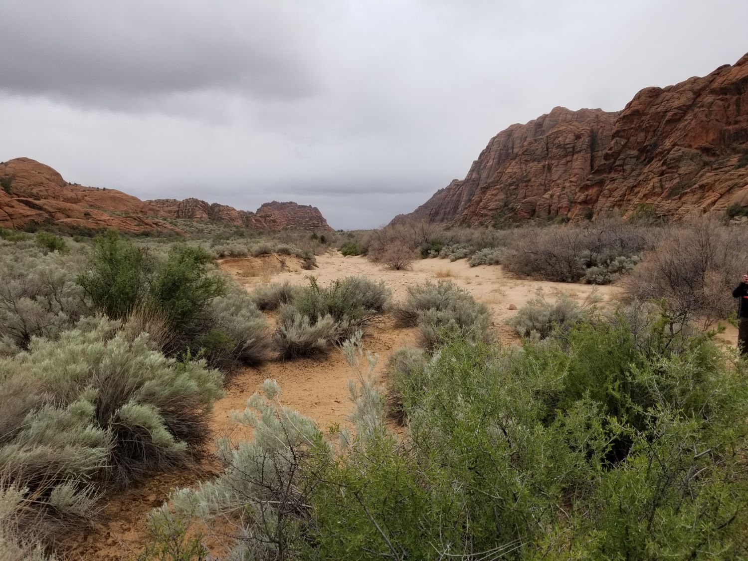 Snow Canyon State Park 